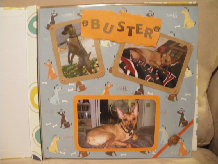 Buster II