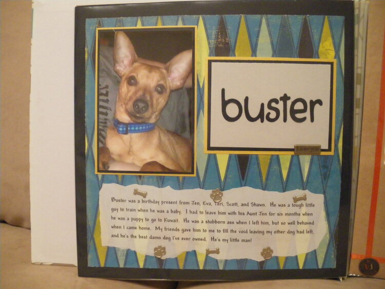 Buster IV