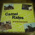 Camel Rides and Bedouins