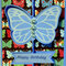 Butterfly flip card-front