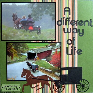 A Different Way of Life-Pokey Peas
