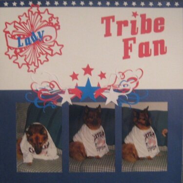 Tribe Fan-CG 2010