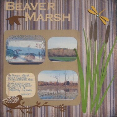 Beaver Marsh-CG 2010/BG challenge
