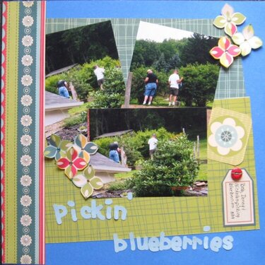 Pickin&#039; blueberries-CG 2009