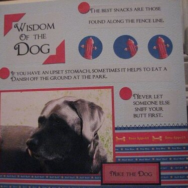 {DW 2007} Wisdom of the dog