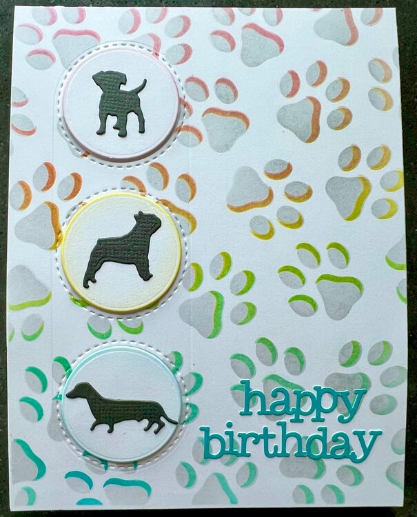 Rainbow paw print birthday card 