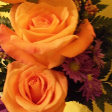 Orange roses and purple daisys