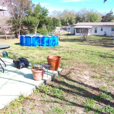 Back yard before pic. Spring 2012