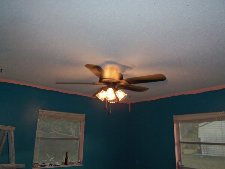 new ceiling fan