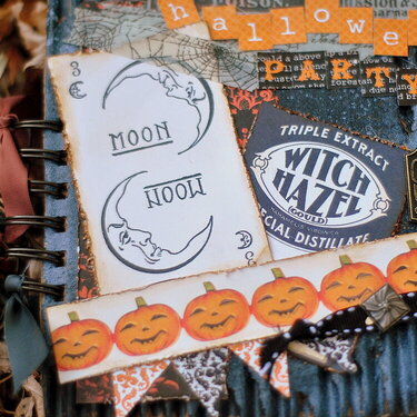 Halloween Mini Book Cover, Left side