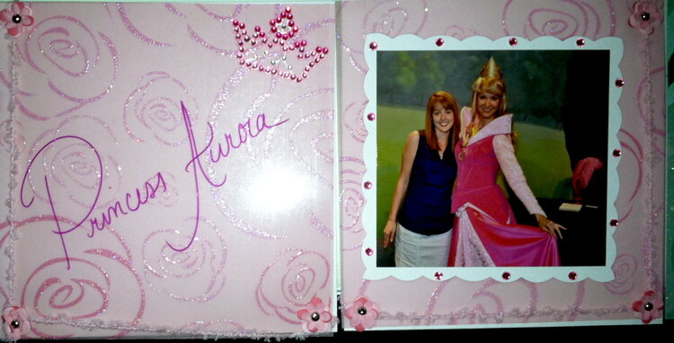 Disney Autograph Book -Aurura