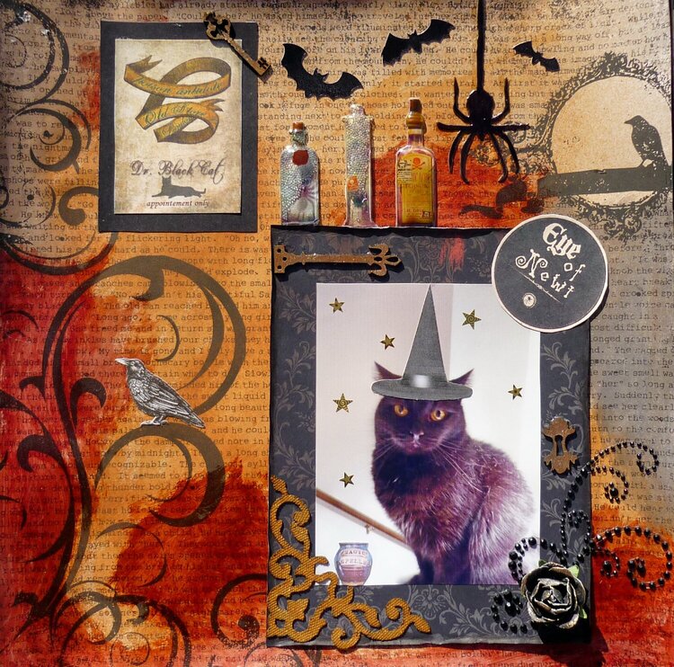 Dr. Black Cat - Potions &amp; Antidotes - By Appointment Only