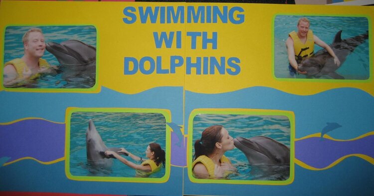 Swimming With Dolphins
