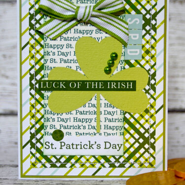 Luck of the Irish *Echo Park St. Patrick&#039;s Day*