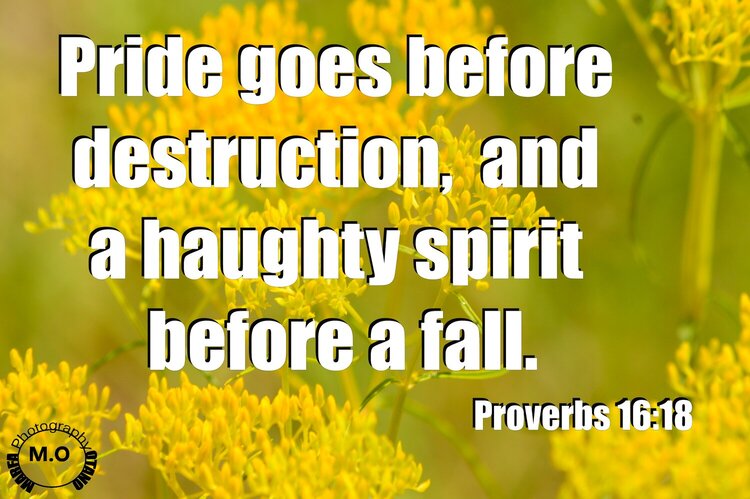 Printable Scripture Card Proverbs 16:18