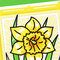 Sketched Daffodil