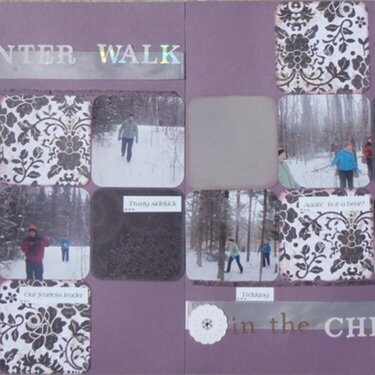 Winter Walk in the Chequamegon