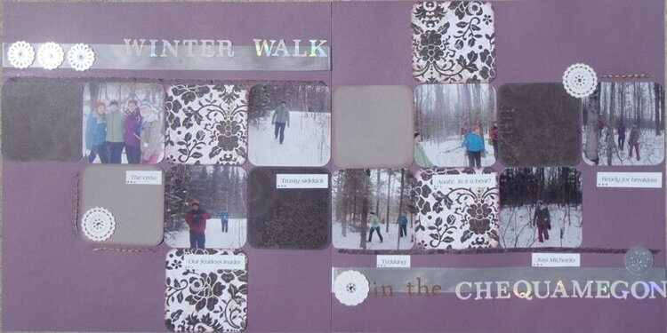 Winter Walk in the Chequamegon