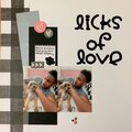Licks of Love