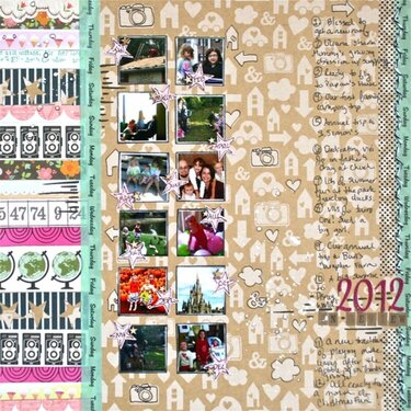 2012 In Review Shimelle's ANFSCD