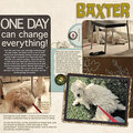 Baxter's 7th Day