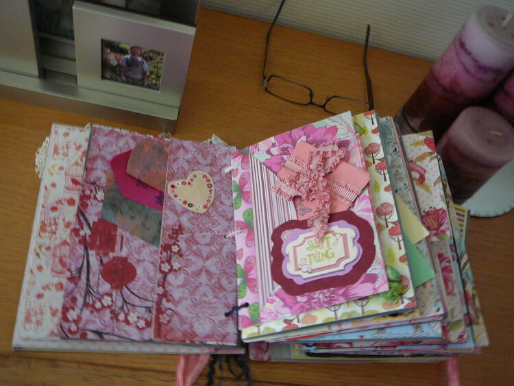 mini-album,44 pages.with 3 faux bags,for lots of pics to hold.