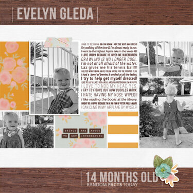 Evelyn 14 Months