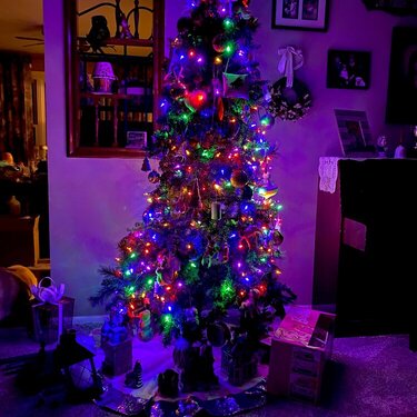 Oh Christmas tree ~
