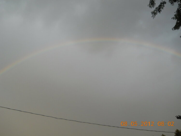 North Carolina Rainbow