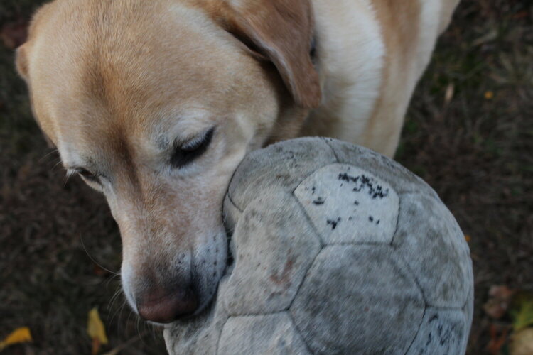 Our soccer player!