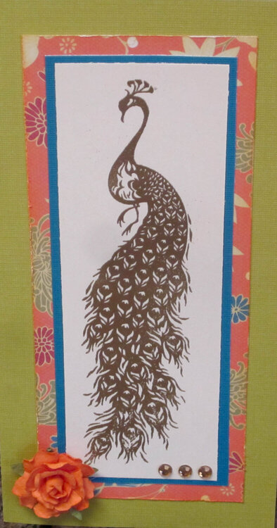 Peacock card