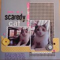 Don't be a Scaredy Cat