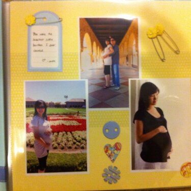 Baby album - Maternity Pics