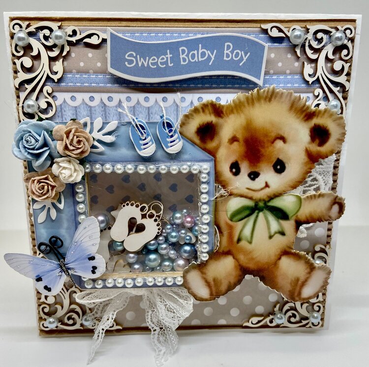 Sweet Baby Boy Shaker Card