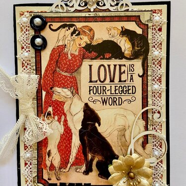 Love Is A Four-Legged Word