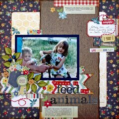 Please Do Feed the Animals