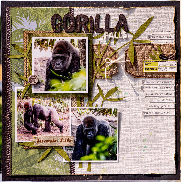 Gorilla Falls