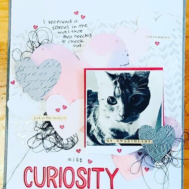 Miss Curiosity
