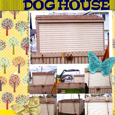 Daddy&#039;s Dog House