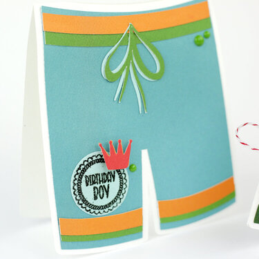 Swimming Trunks Card