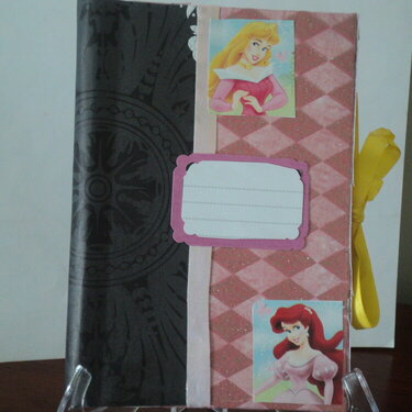 The Princess Notebook