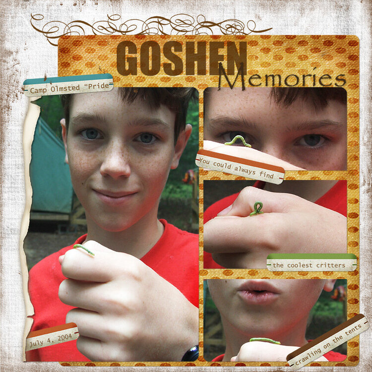 Goshen Memories **Digital**