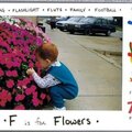 F is for Flowers