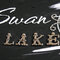 Swan Lake Details 1