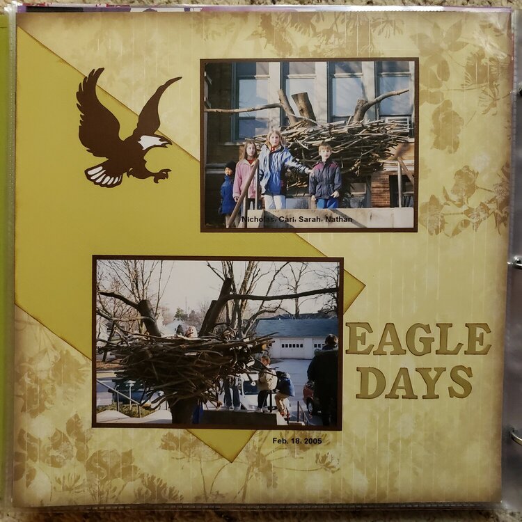 Eagle Days