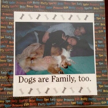 Dogs Are Family Too!
