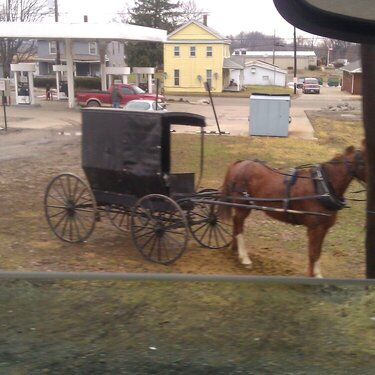 horse and buggy