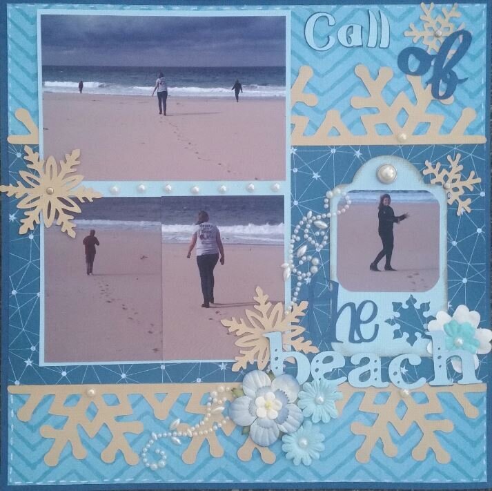 Call of the beach
