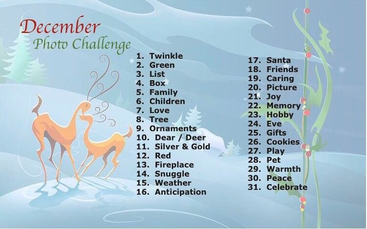 Anything Goes Challenge - December phoos
