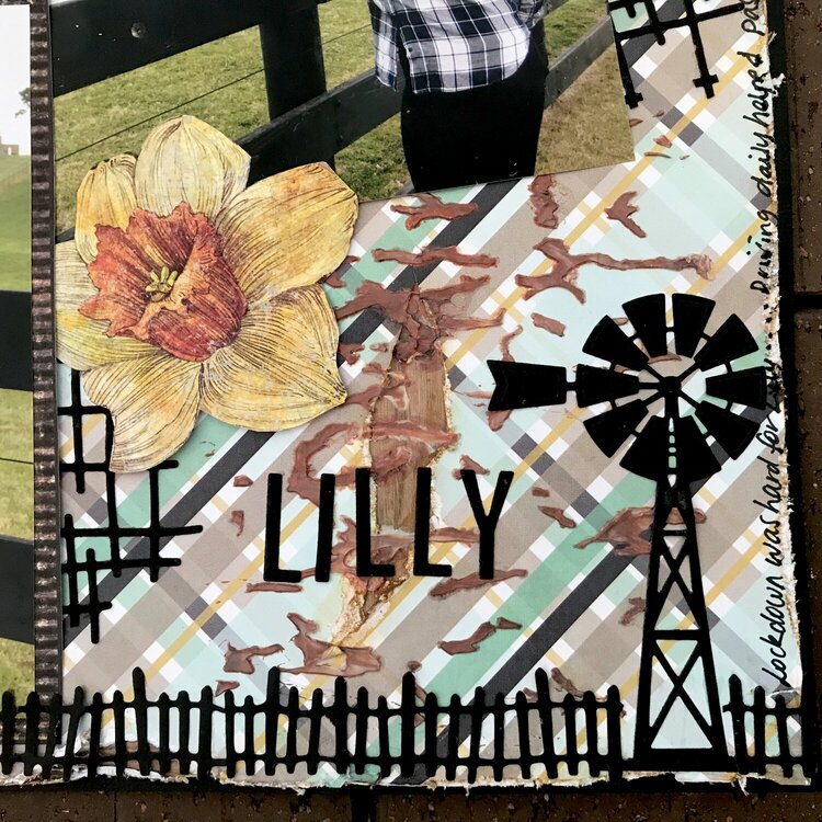 2022 - 111/100 - Lilly